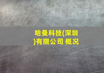 哈曼科技(深圳)有限公司 概况